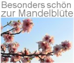 Besonders schn zur Mandelblte